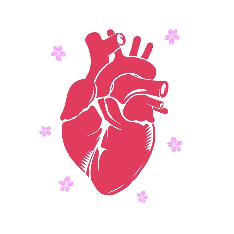 Cardiogram, cardiography, sonography, ultrasound