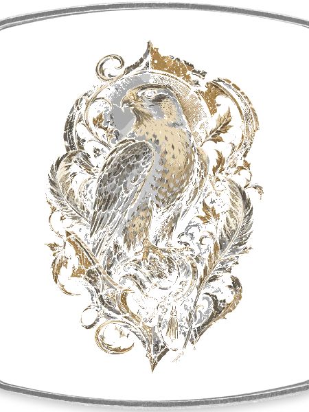 Falconry Falconers