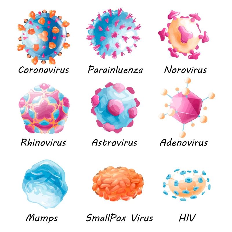 Vari virus - norovirus, HIV, ecc.