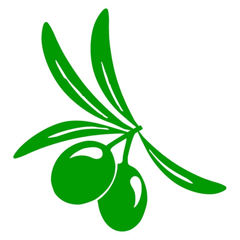 Olive leaf branch