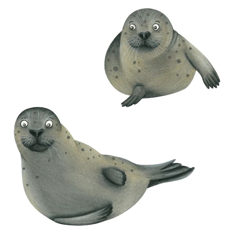 Seals