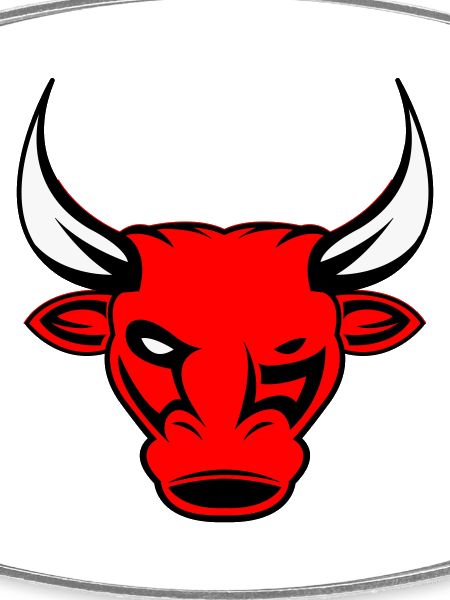 bull