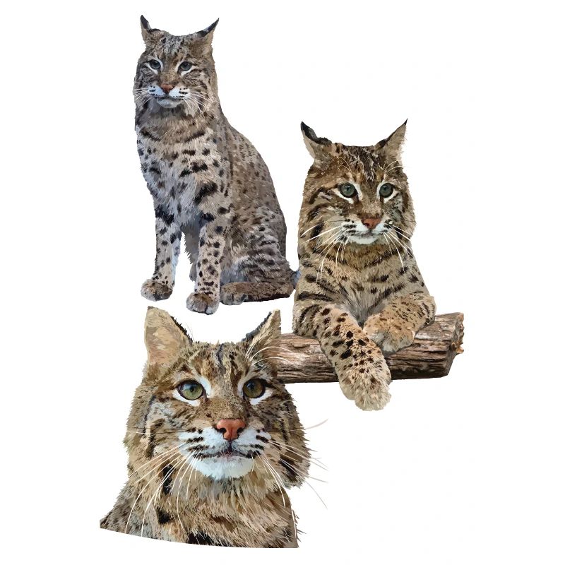 Lynx