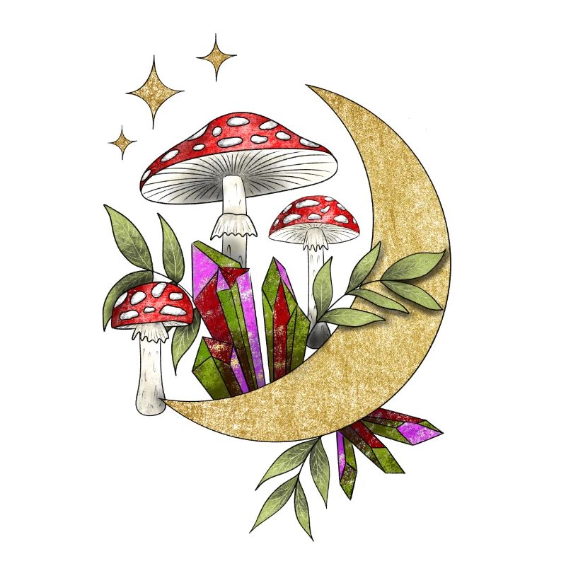 Champignons au clair de lune