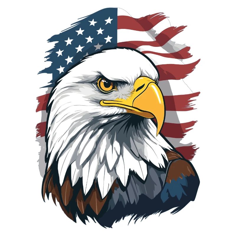 Bald eagle