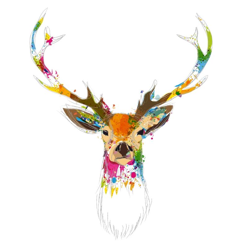 Tête de cerf colorée – Conception à l’aquarelle et au graffiti