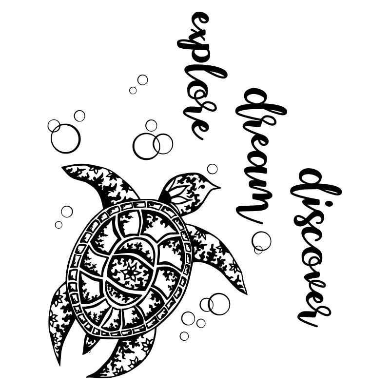 Explore Dream Discover - Turtle