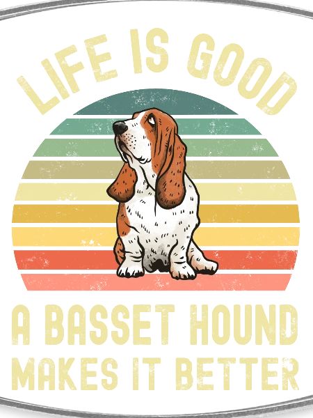 Dog Basset Hound