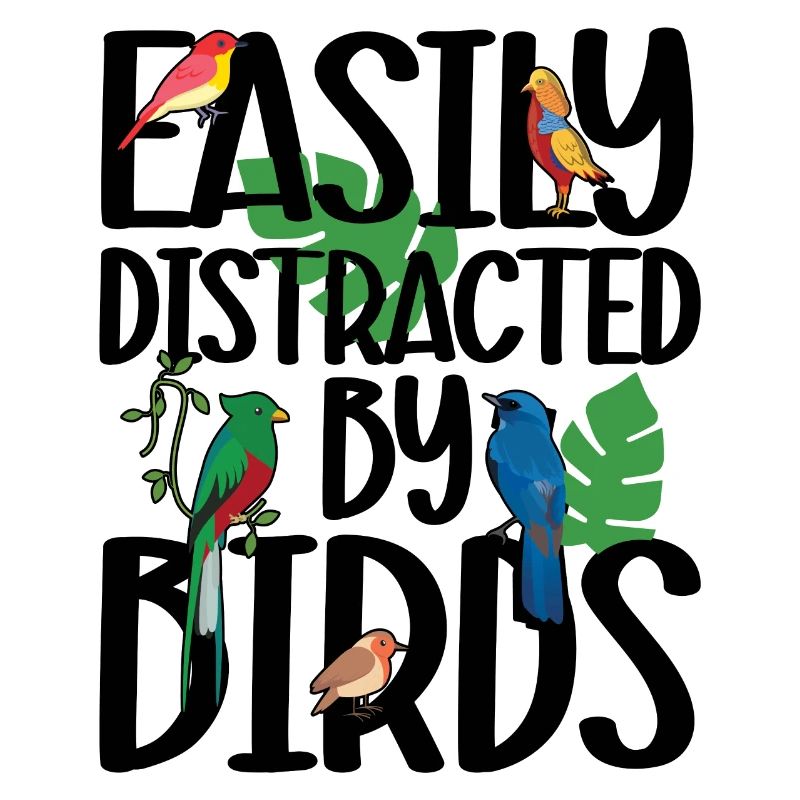 Facilement distrait par les oiseaux