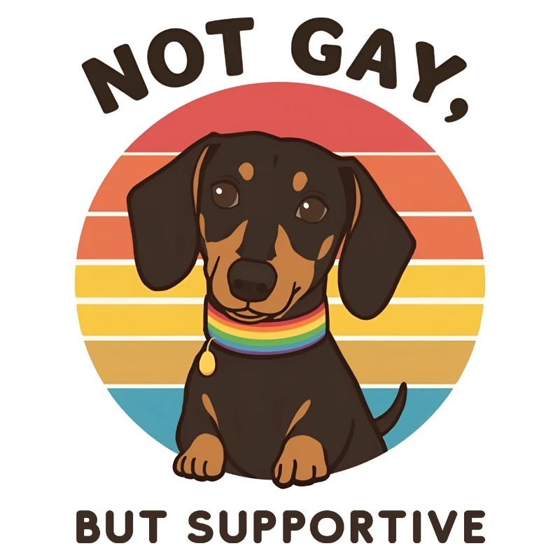 Not Gay But Supportive – Dackel & Regenbogen