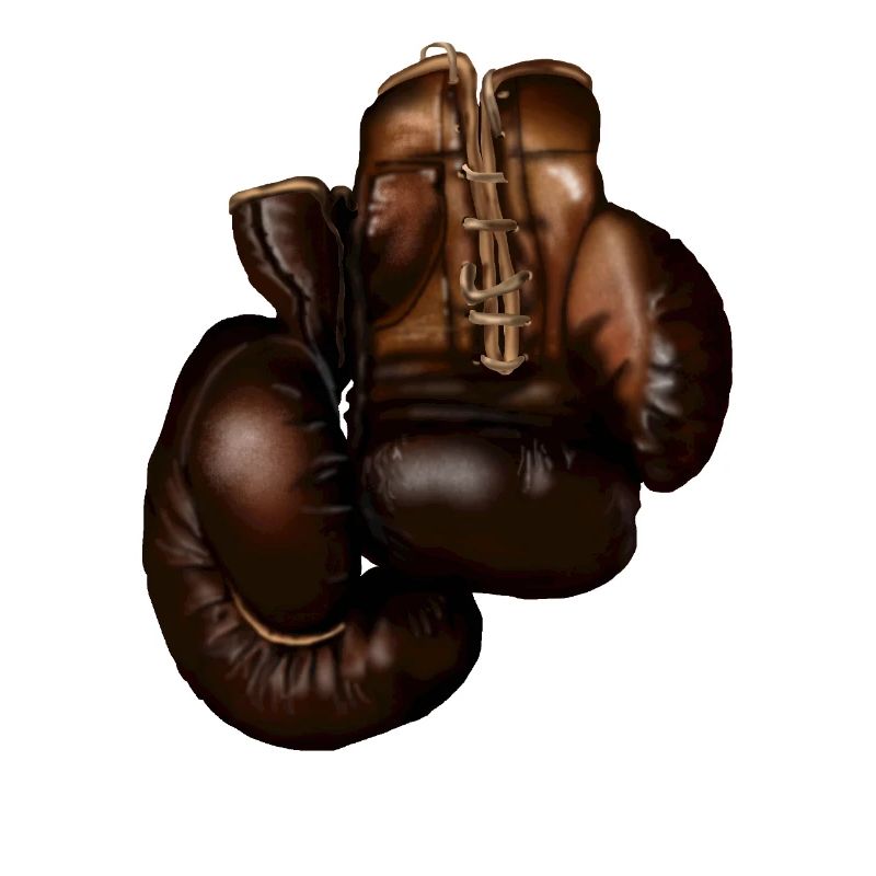Dunkle Boxhandschuhe Lederdetail