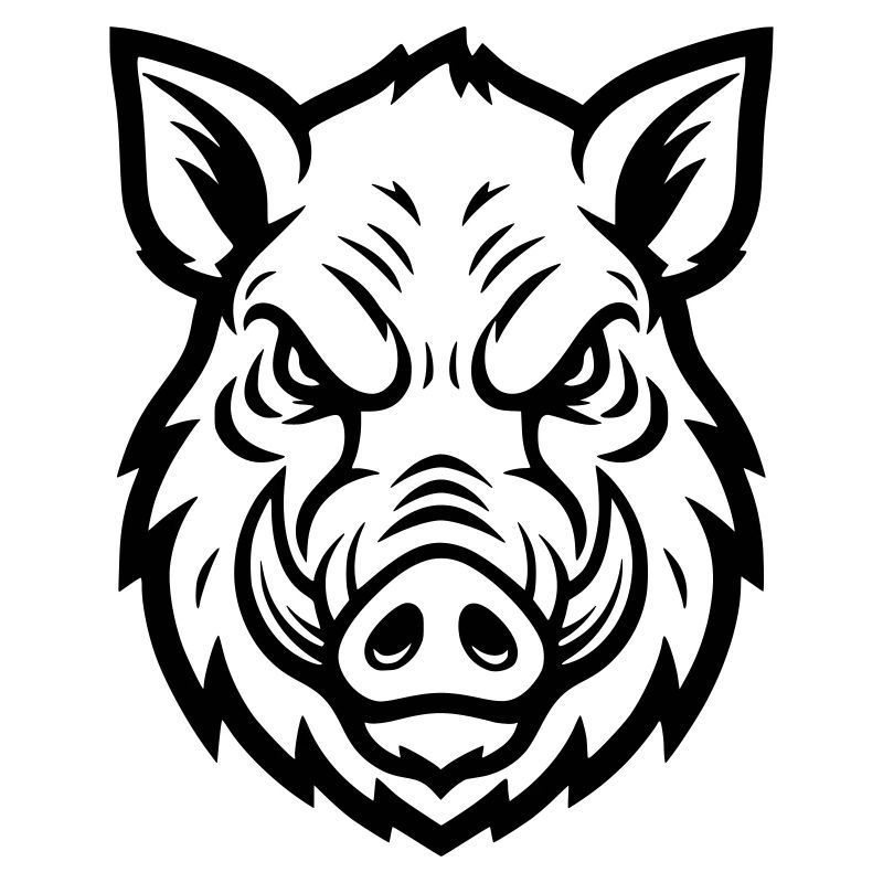 Wild Boar Head Boar Aggressive Vector