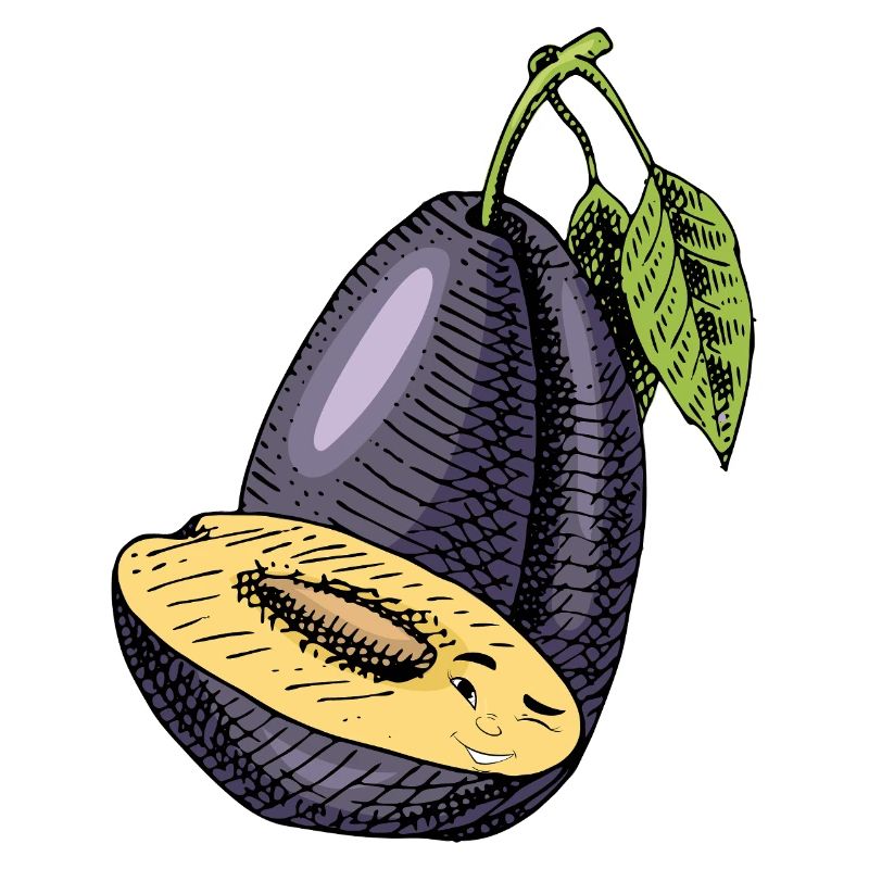 Plum fruit