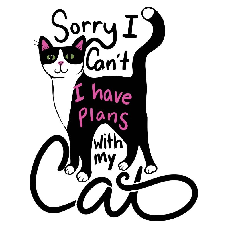 J’ai des plans pour chat graphique