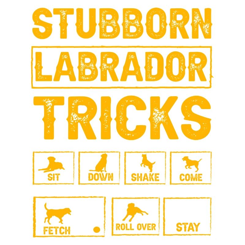 Stubborn labrador tricks