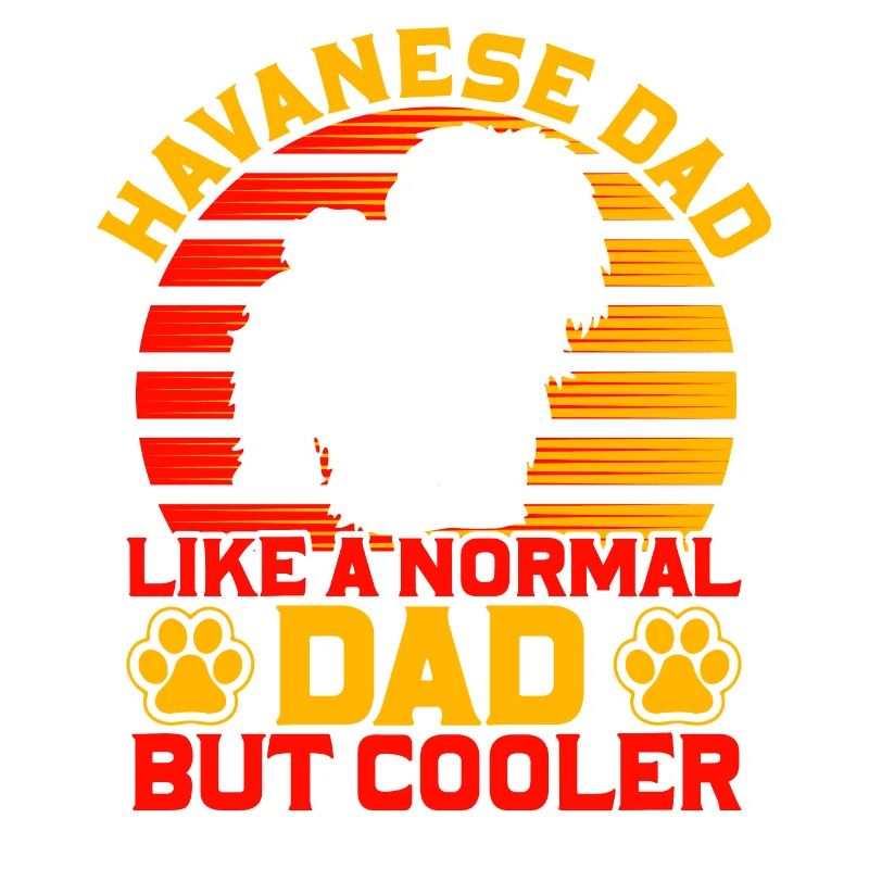 Papa havanais comme un père normal mais plus cool