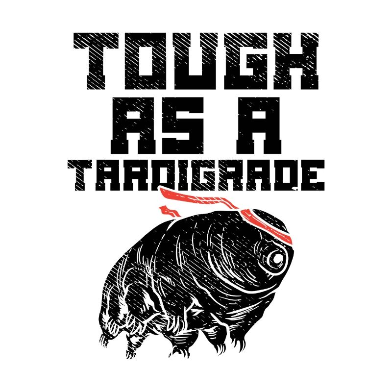 Fort comme un tardigrade – Humeur microbiologiste