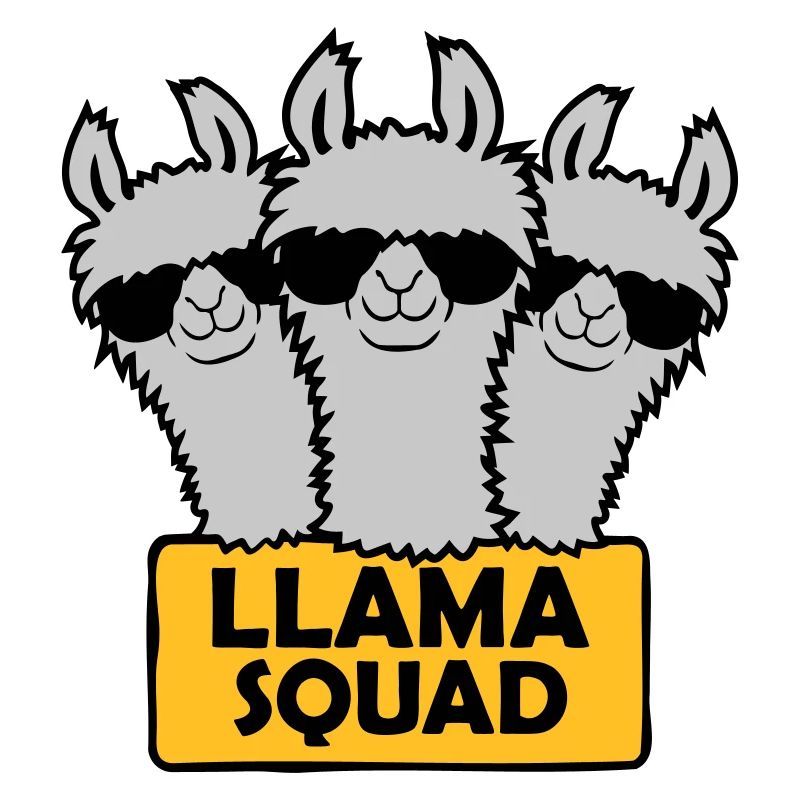 Conception de l’équipe Llama Squad