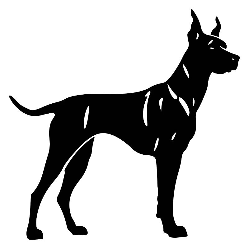 Doberman Dog