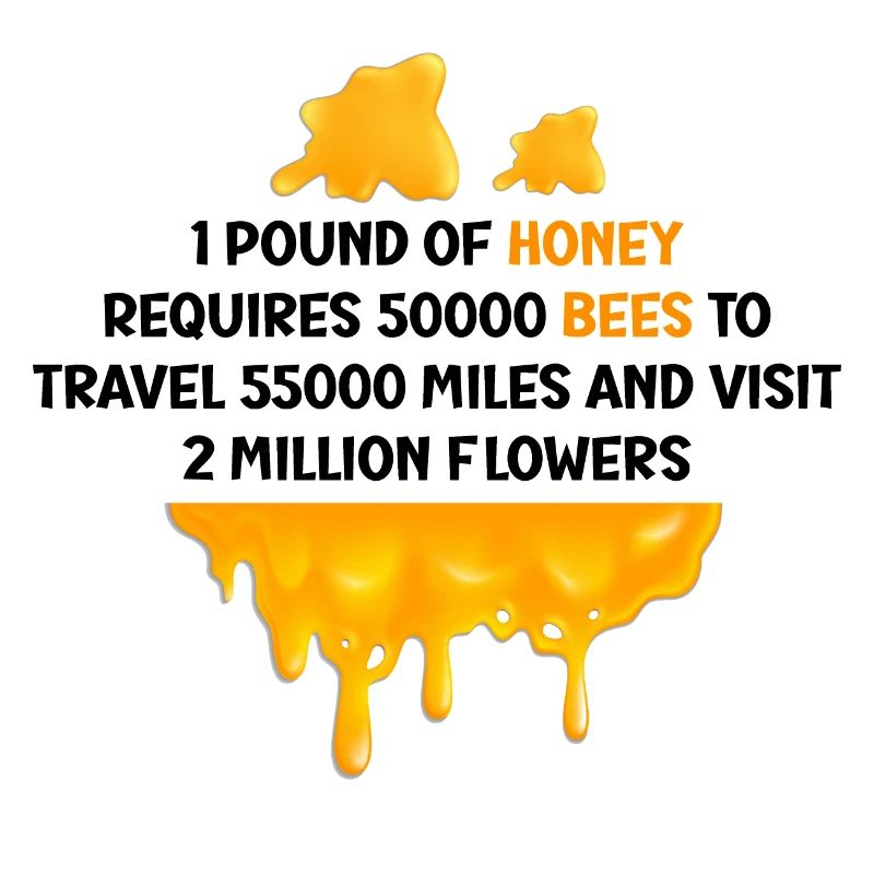 Beekeeping Beekeeping Course Beekeepers' Association Honey Bee Beekeepers