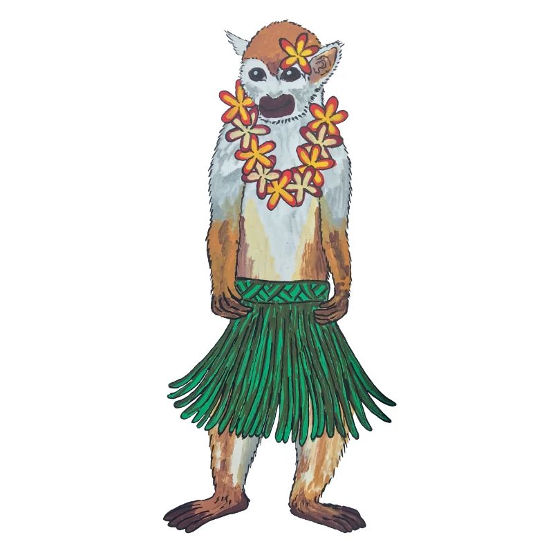 Totenkopfäffchen Affe Hawaii Hulaaffe Hula Hoola