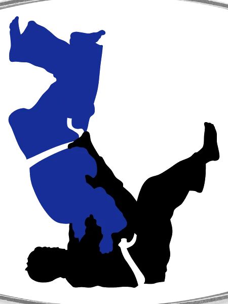 judo