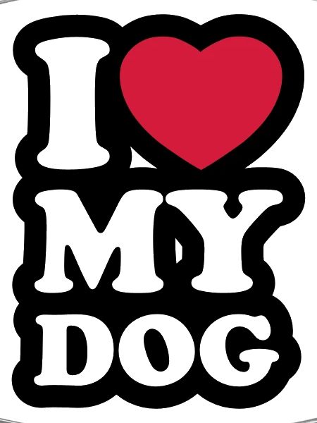 I love my dog