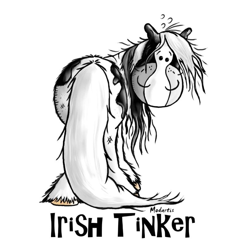 Niedlicher Irish Tinker - Gypsy Cob