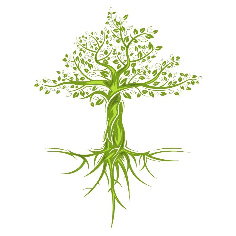 trees tree nature nature symbol forest forest logo