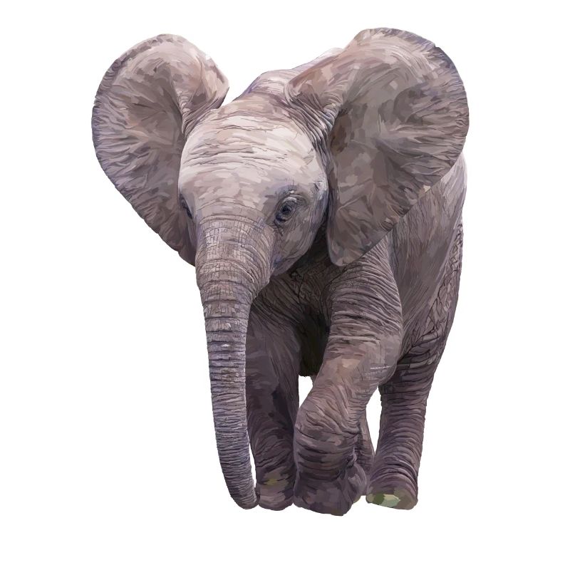 Elefäntchen