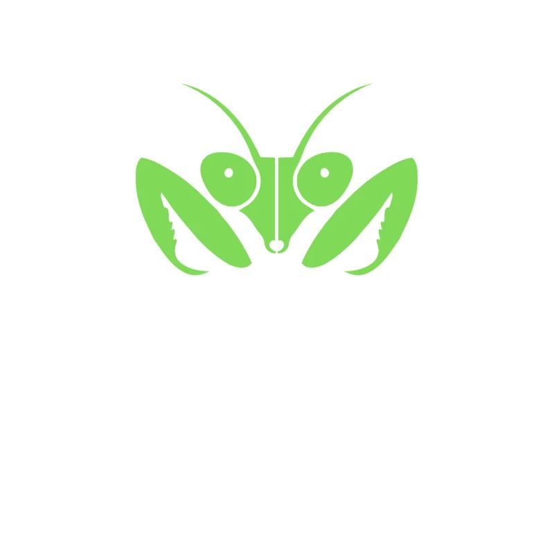Fascinating praying mantis
