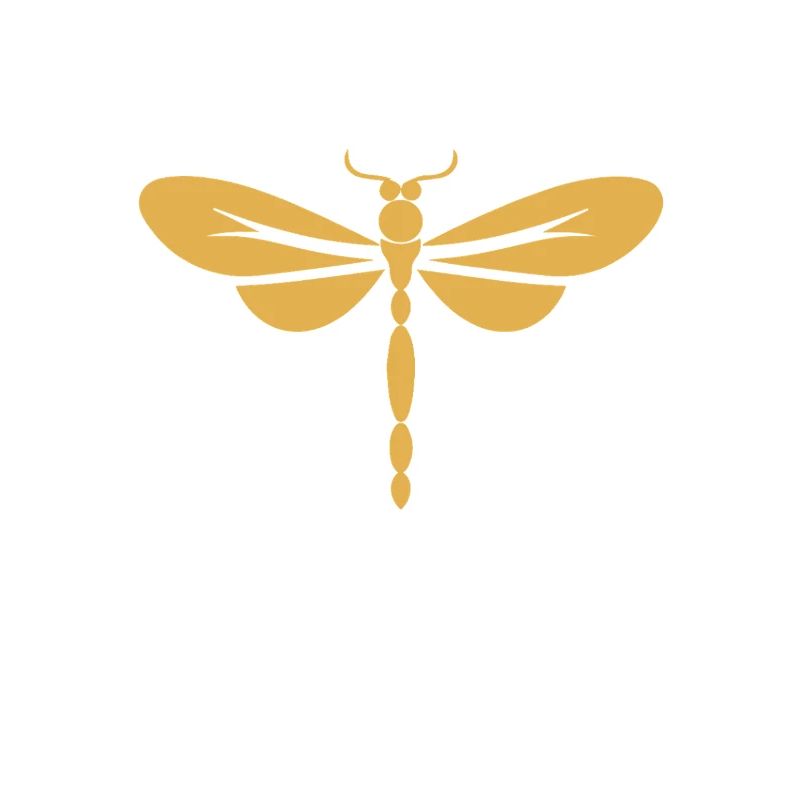 Kurzlebige Eintagsfliege