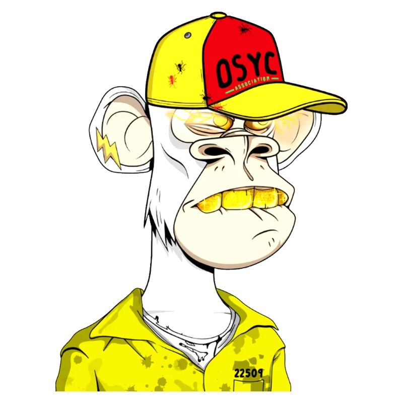 Ape Straßenrebell Cap