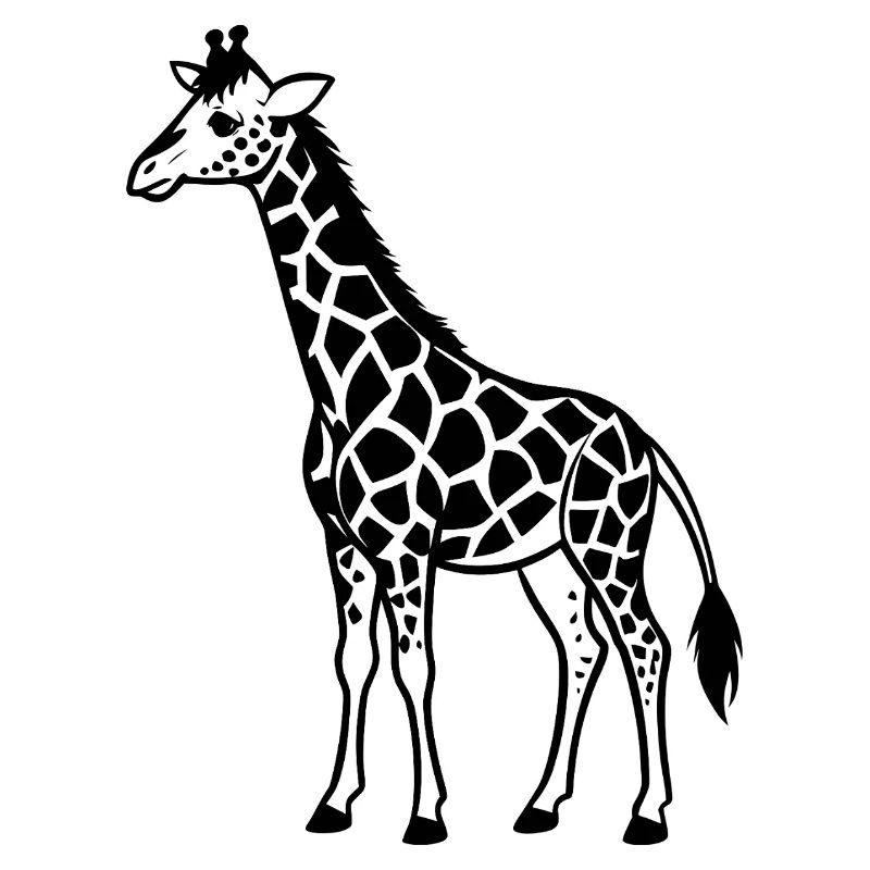 Giraffes