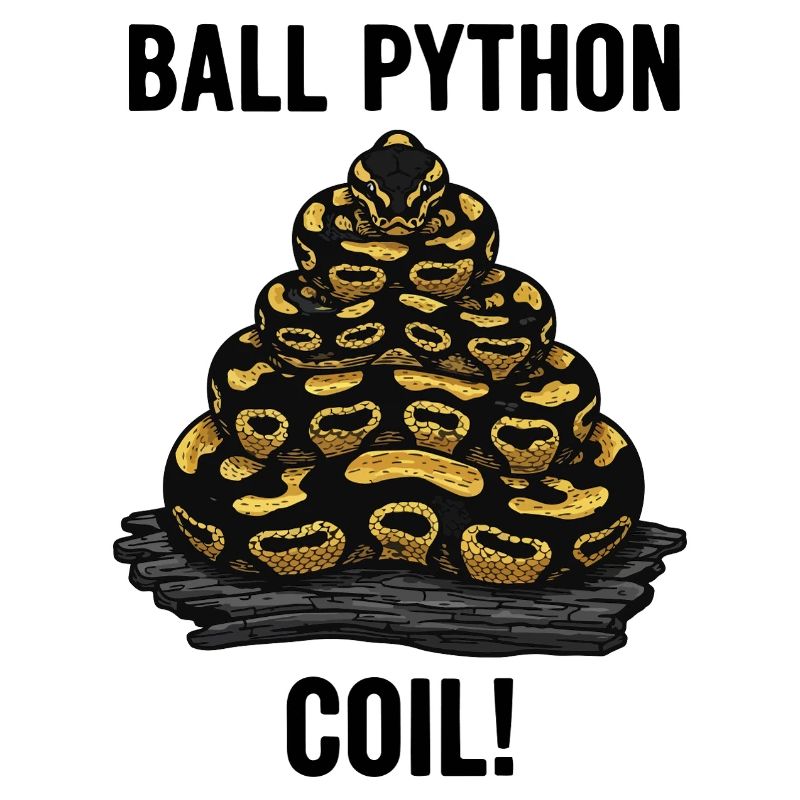Python Royal Ball Python Coil Reptile Pyramide