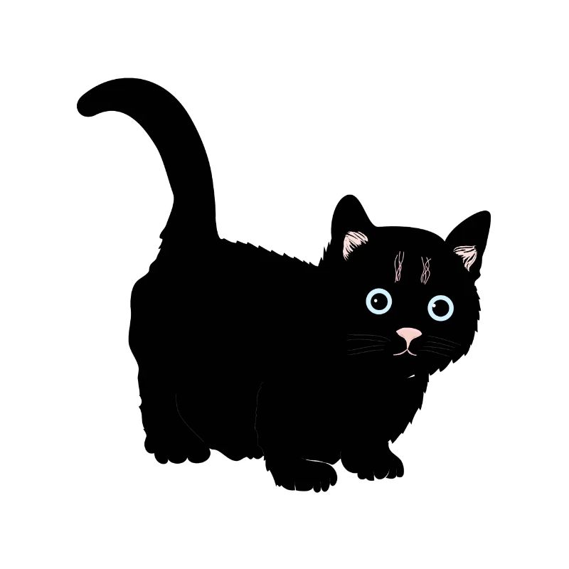 Chat noir