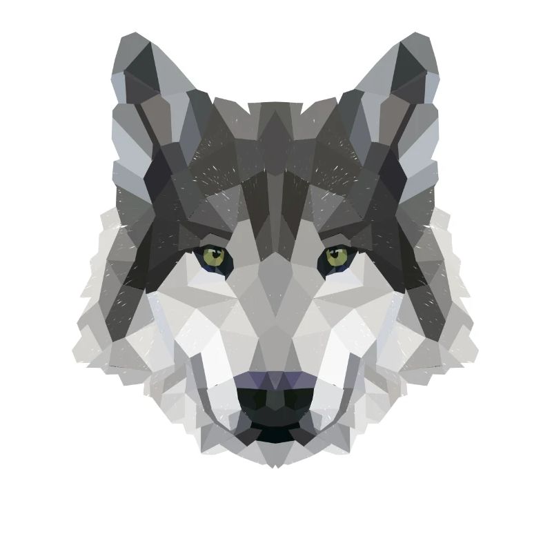 POLYGONE LOUPS LOUPS HUSKY PACK PACK CHIEN PACK PACK
