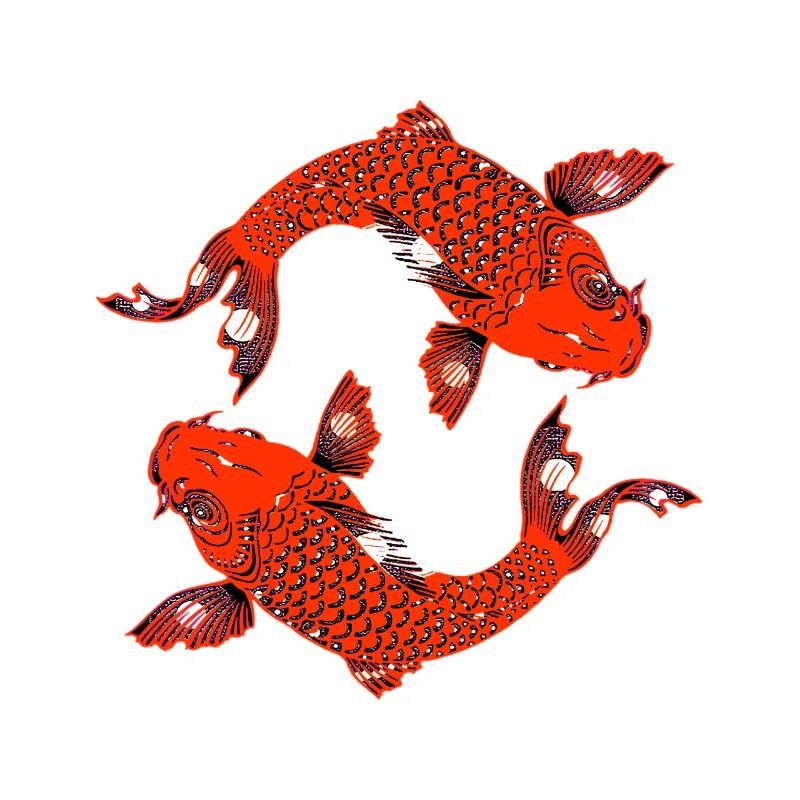 koi rot