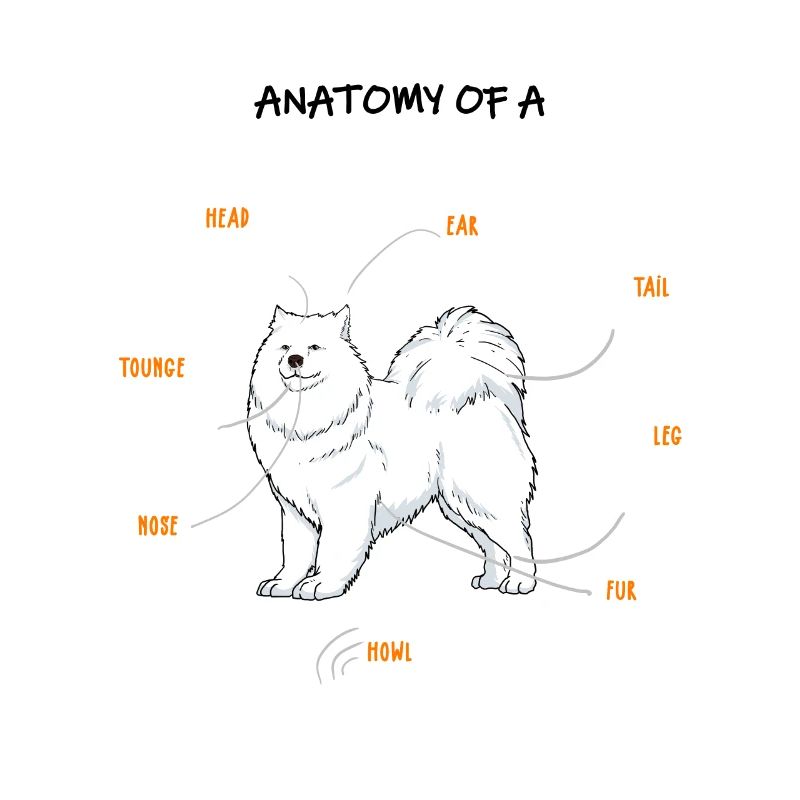 Samojede Anatomie Hunde Geschenk