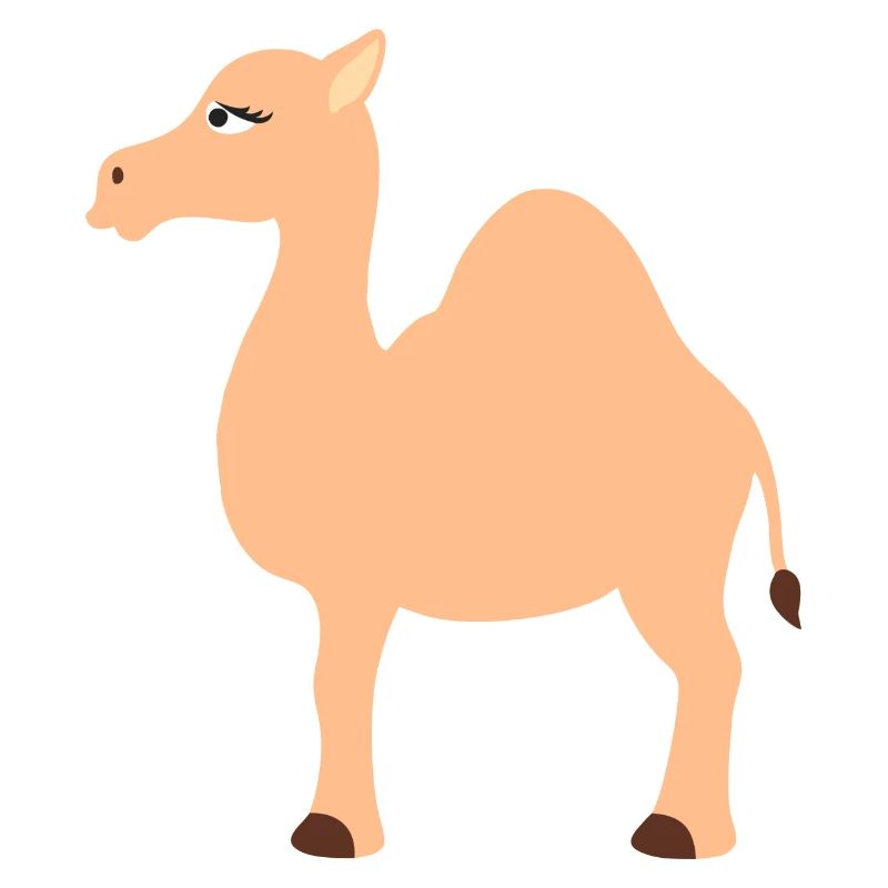 camel