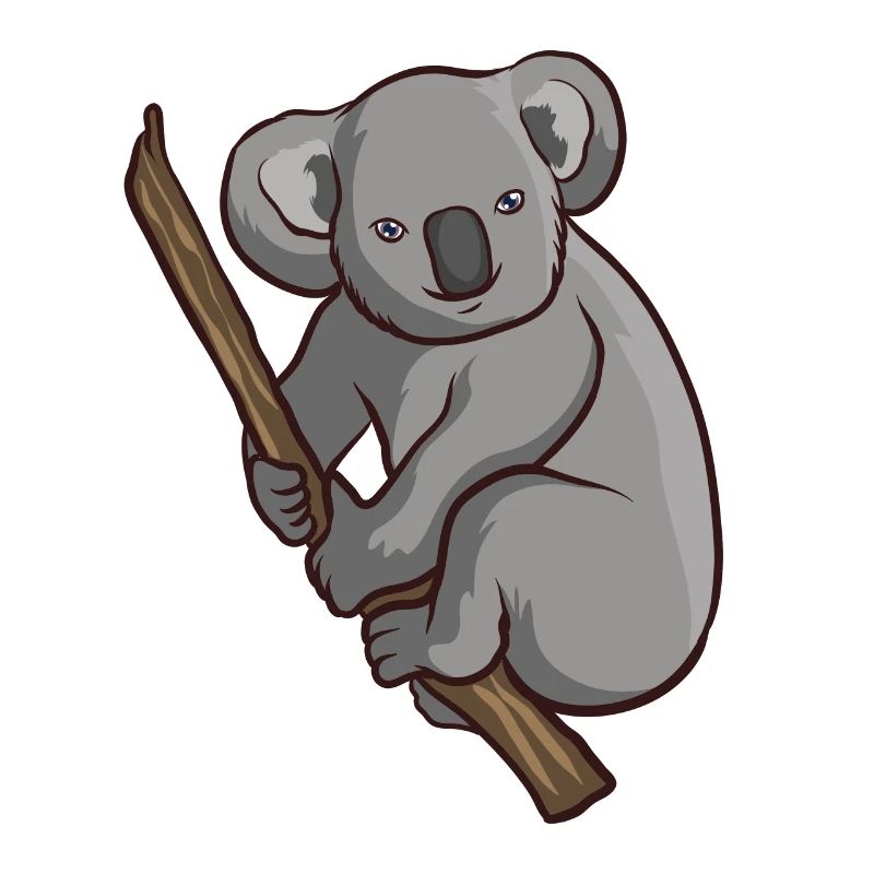 Koala bear