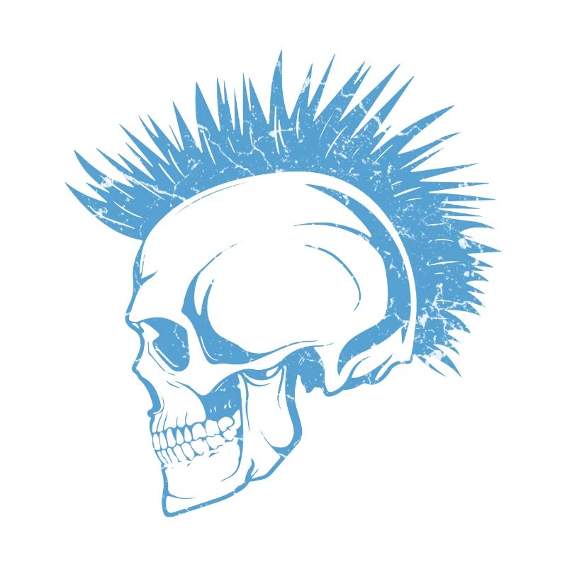 Skull Punks Punk