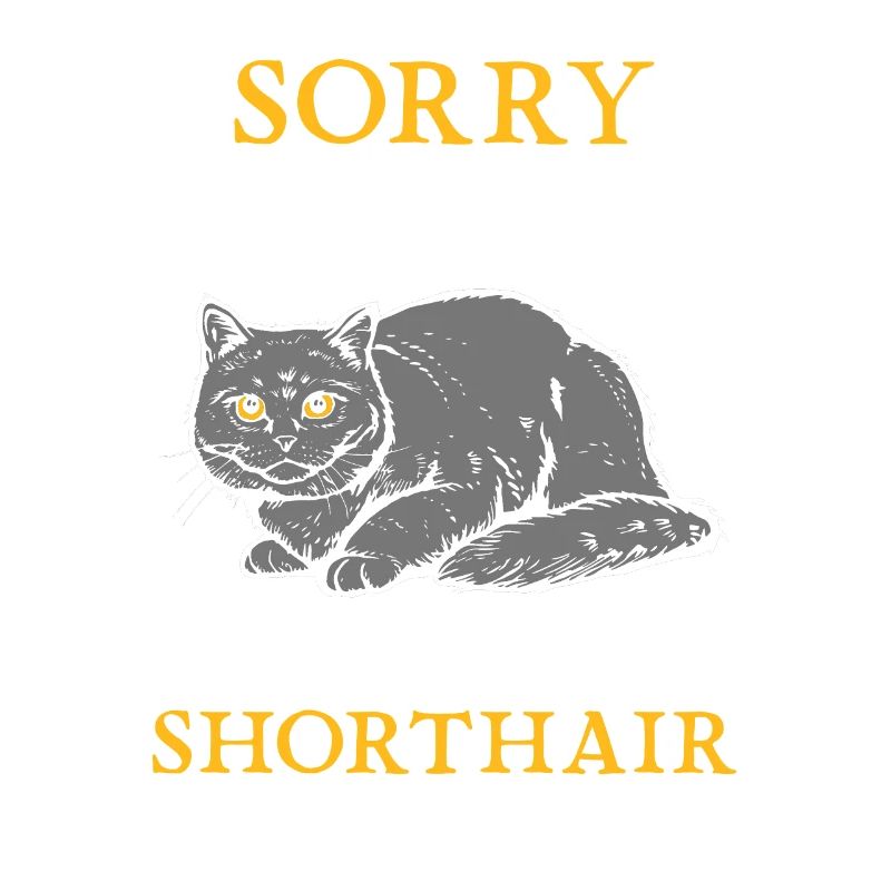 Britisch Kurzhaar BKH Katze