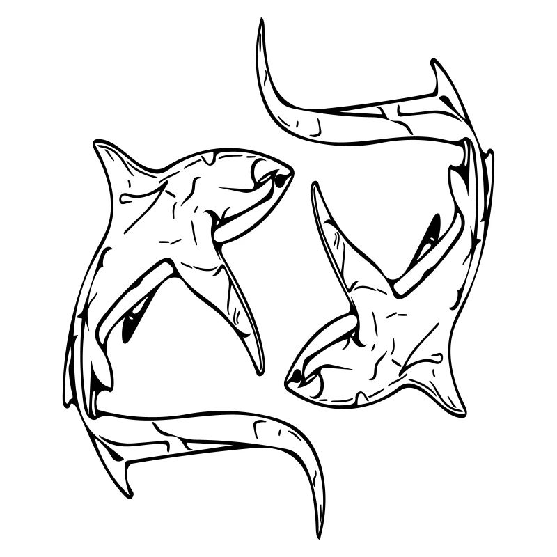 Requins renards élégants en cercle
