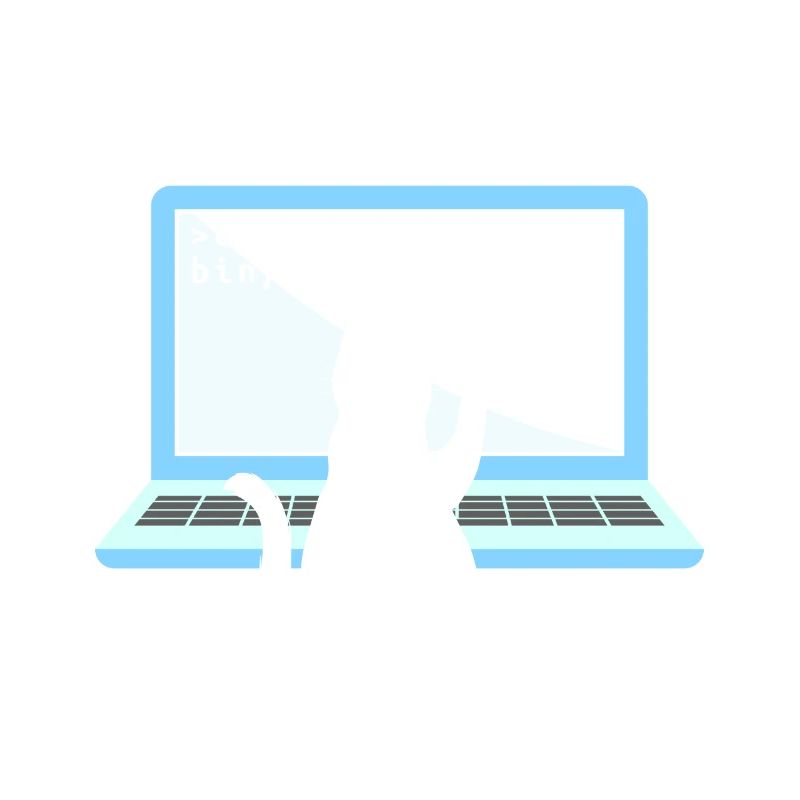 Cat as Programmer Coder Cat Owner