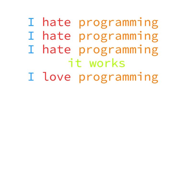 Code Debugging Witz hasse programmieren Coder