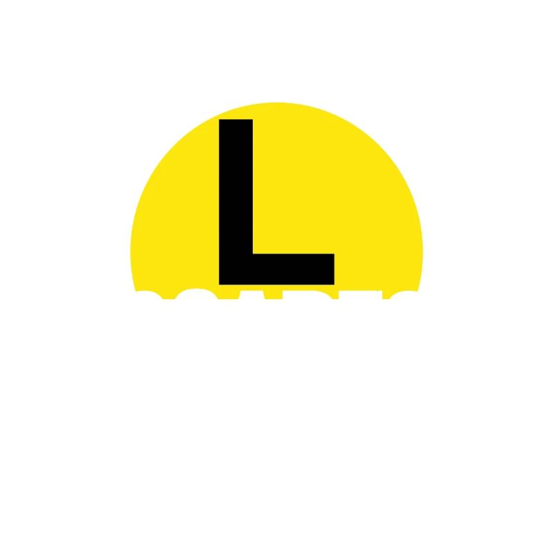 Learner driver Driving school Driving licence Novice driver