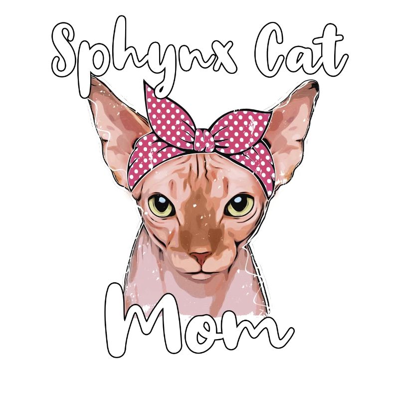 Sphynx Chat Maman Sphynx Chat