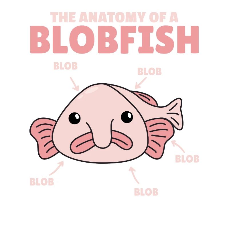 Blobfish Explication Anatomie d’un Blobfish
