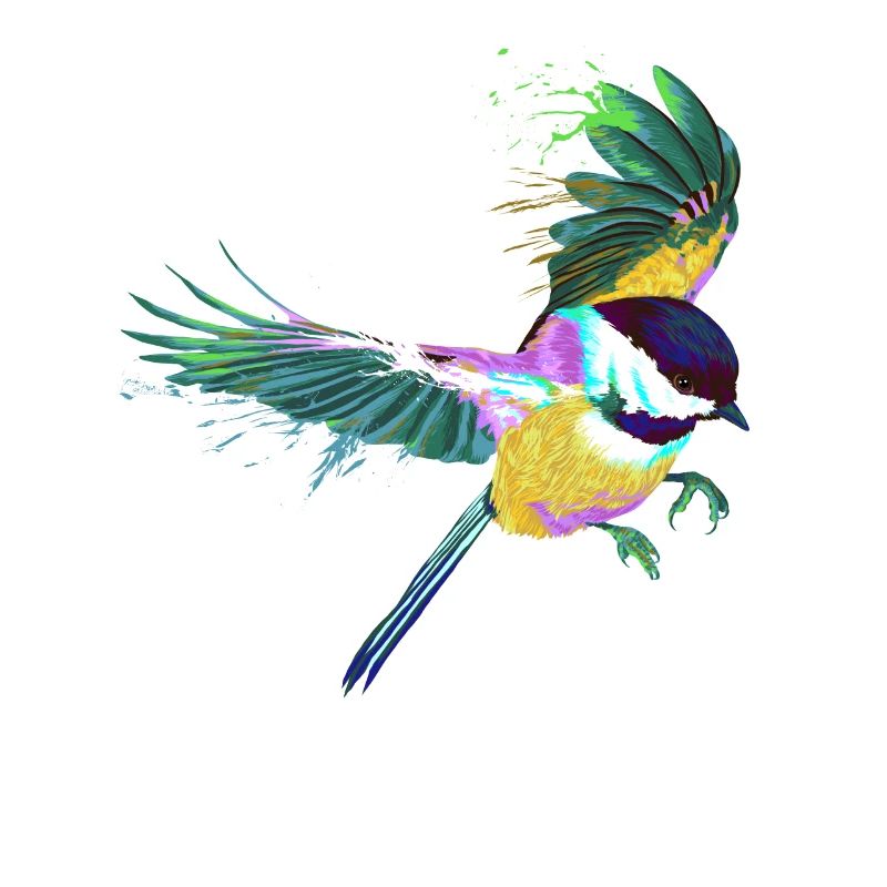 Flying Splash Bird Chickadee